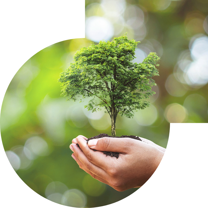 關懷人類、文化、環境與社會